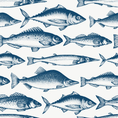 Fish seamless pattern. Hand drawn vector fishes illustration. Engraved style. Vintage different kinds of fish background. - obrazy, fototapety, plakaty