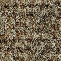 Seamless brown bristle brush background