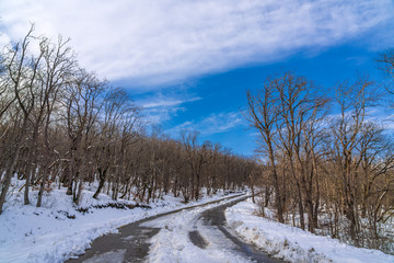 Snowy mountain road among the forest