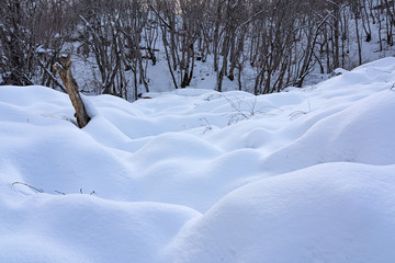 Fototapeta na wymiar Deep snow in the winter forest