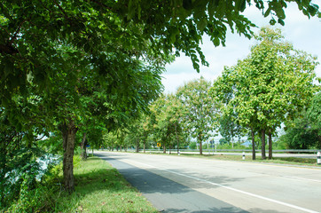 Roadside in the countryside of Thailand