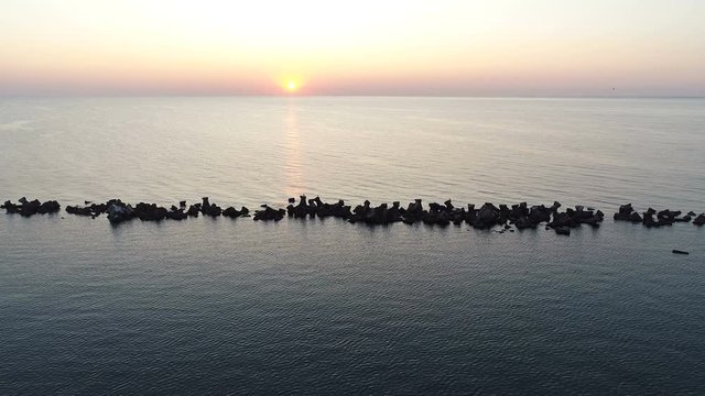 Wooden Dock Extending Into Tropical  Sea at Sunrise. Aerial Shot
