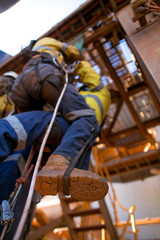 Safety workplaces tree climber standing holding light green rope wearing ear muffs noise hearing...