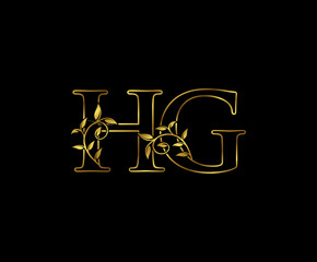 Golden H, G and HG Luxury Letter Logo Icon 