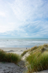 Fototapeta na wymiar dunes de sable avec de la végétation près d'une plage pour stabiliser l'érosion due au vent. sand dunes with vegetation near a beach to stabilize wind erosion.