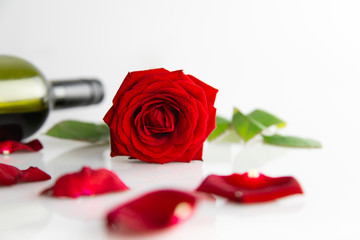 Leżąca czerwona róża na białym tle, płatki i butelka wina