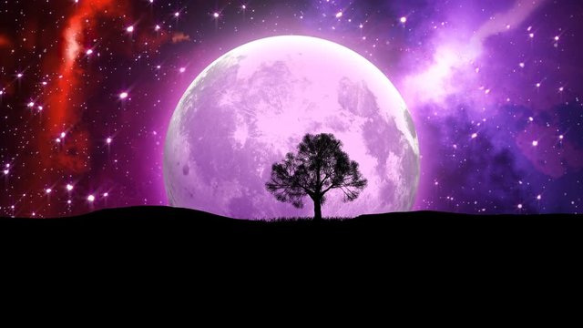 Fantasy animation - The Moon Planet and Lonely bare tree silhouette on nebula space background. Elements of this image furnished by NASA.
