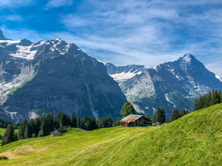 Single Hut with Scenic view of Swiss Alps in Grindelwald, Switzerland