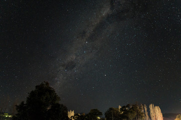 Milky way arcing over a tree