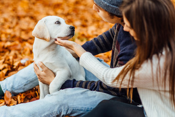 Romantic couple with dog sitting in autumn forest background with small dog. Young blonde woman and...