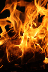 Fototapeta premium Fire burning firewood. Fire background.