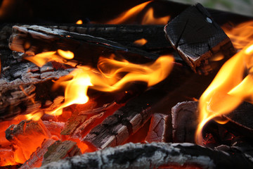 Fire burning firewood. Fire background.