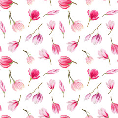 finished image of a small seamless pattern of pink Magnolia flowers on a white background, watercolor