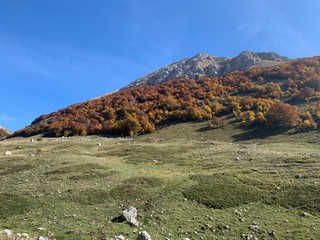 Monte Murolungo 
