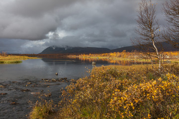 autumn view of Sarek National Park, Lapland, Norrbotten County, Sweden, near border of Finland, Sweden and Norway. selective focus