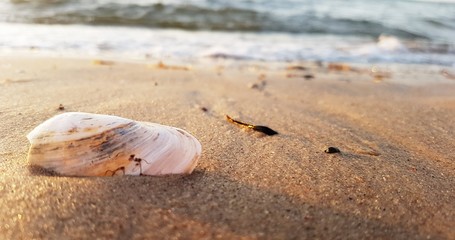 Beachtime in the evening