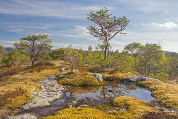 Fjelllandschaft im Trondelag