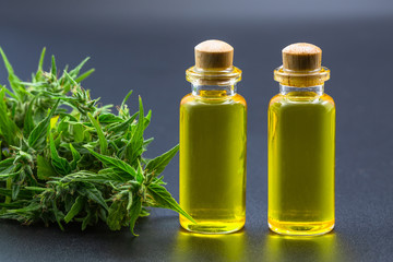CBD hemp oil  products,  Cannabis oil against Marijuana plant. Herbal Treatment, Alternative Medicine