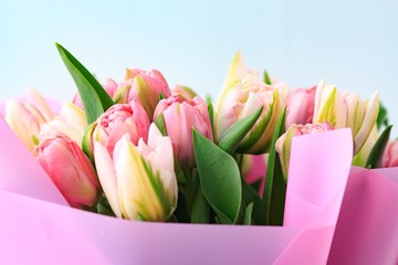 Fresh tulips bouquet of rosy color closeup