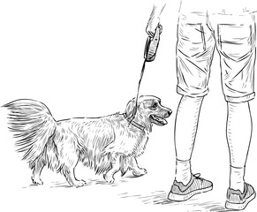 Sketch of longhair dachshund with her owner going on a stroll