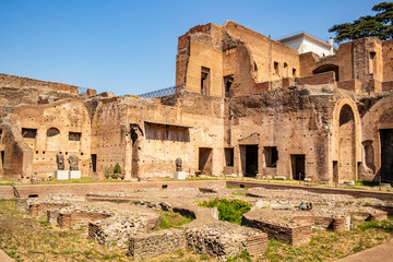 View on the archaeological site of the Roman Forum Palatine Hill in Rome, Lazio - Italy