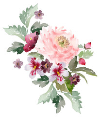 Watercolor greeting card with peonies on a white background - 316538664