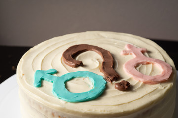 Cake with vanilla biscuit. Mars and Venus? View from above. Classic cheesecake.