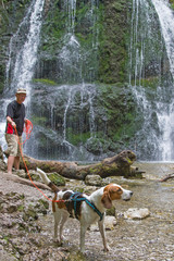 Beagle am Wasserfall