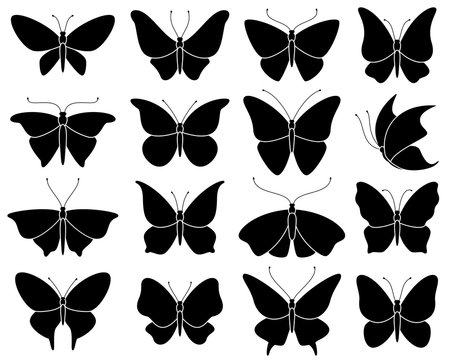 Butterfly silhouettes. Black stencil insect pattern, stylized spring symbol. Wedding decor elements, tattoo wing shapes vector set
