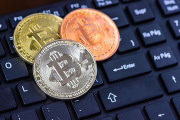 Women working with digital coins in the network