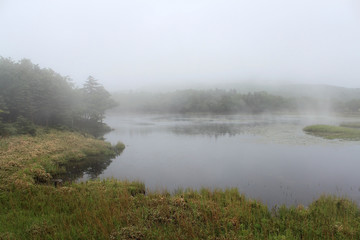 Obraz na płótnie Canvas 霧の知床五湖　 世界自然遺産　北海道