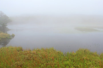 霧の知床五湖　 世界自然遺産　北海道