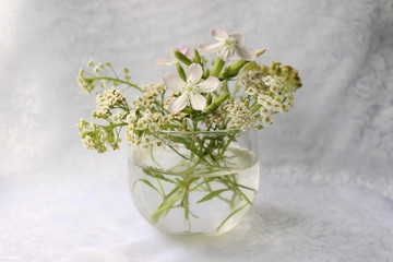 white flowers in a vase