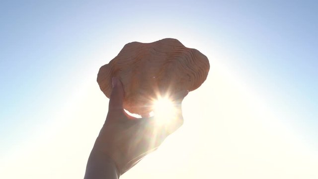Closeup view of female hand holding big sea shell and covering bright sun light with it making shadow. Soft sunrays and sunbeams transparenting softly among hand and seashell.