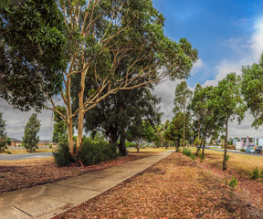 Obraz premium The Princes Highway is a major road in Australia, extending from Sydney to Adelaide via the coast through the states of New South Wales, Victoria and South Australia.
