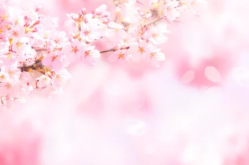 Rolgordijnen De kersenbloesem pluizig dons © ヨーグル