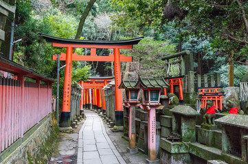 Impression of the many Torii of the Fushimi Inari Shrine in Kyoto, Japan.