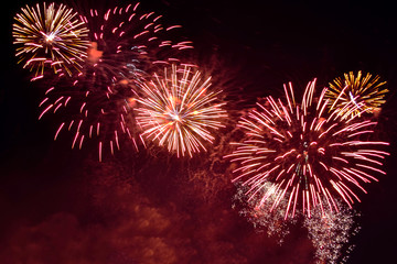 Variety colorful firework on the night sky background. Salute with gold and red flashes.