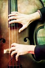 Hands over the Double Bass