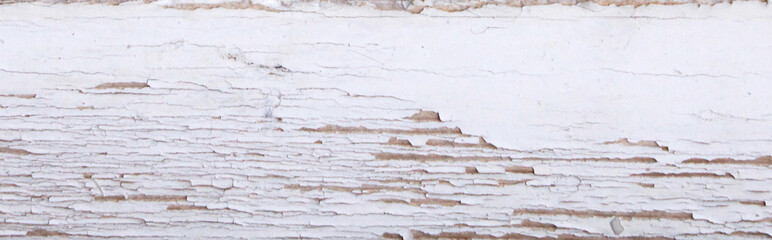 texture cracked paint like a shell