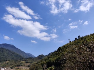 Fototapeta na wymiar Landscape photo of blue sky with green forest