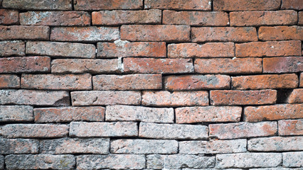 Brown brick wall 01