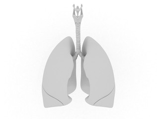 Human lungs 3d white illustration isolated