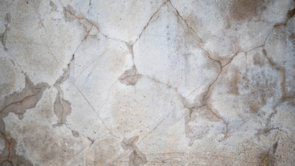 Cement wall 11