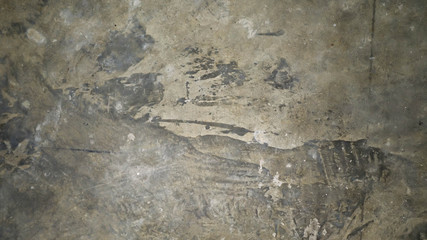 Gray-brown cement floor Background