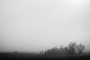 Winter morning walk on the fields. Cold weather concept. Frozen, foggy nature with two people