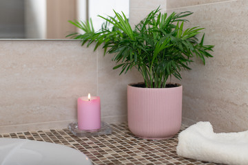 tropical potted plant Chamaedorea, candle and bath towel in the bathroom. Cozy home concept. horizontal image.