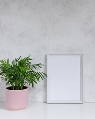 tropical potted plant Chamaedorea and empty photo frame near a bright white wall. Scandinavian interior fragment. vertical image