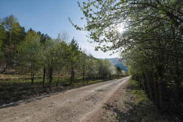 Rural road in the mountains