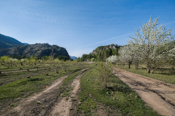 Fototapeta na wymiar Rural road in the mountains